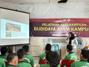 Gali Potensi: Warga Binaan Lapas Labuhan Ruku Gelar Pelatihan Budidaya Ayam Kampung