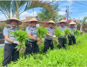 Dukung Program Ketahanan Pangan : Lapas Labuhan Ruku Klas IIA Panen Raya Sayur Kangkung.
