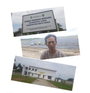 PD IWO Batu Bara Tuding Rumah Produksi Bersama “Cabai Merah” Terancam Mangkrak di Lubuk Cuik.