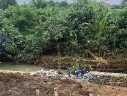 Penyebab Ribuan Ikan Nila Mati. Tanggul Pendingin Limbah PKS Gunung Bayu Jebol.