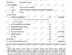 Diduga Bohongi Publik Soal LHKPN, IWO Desak KPK Panggil dan Periksa VP PLN Sayfa Auliya Achidsti