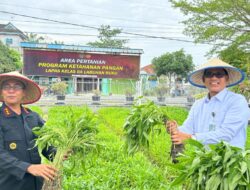Stafsus Menteri IMIPAS Tinjau Ketahan Pangan di Lapas Labuhan Ruku & Panen Raya.