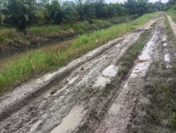 Akses Jalan di Bagan Baru Nyaris Tak Layak di Lalui. Dimana Posisi Pemkab Batu Bara?