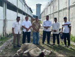 Lapas Labuhan Ruku Gelar Pemotongan Hewan Qurban Idul Adha 1446/H. Wujudkan Semangat Berbagi dan Kebersamaan.