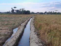 Proyek Siluman di Belakang Kantor Disperkim Milik Distanbun Batu Bara Dipertanyakan.