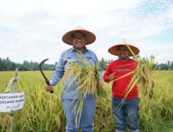 Inalum Dukung Pertanian Berkelanjutan Lewat Penerapan Metode Tani Nusantara di Kuala Tanjung.