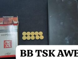 Satres Narkoba Polres Batu Bara Ungkap Kasus Narkotika Jenis Pil.