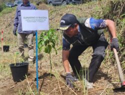 PT. INALUM Tanam 600 Pohon, Tanda Dimulainya Penghijauan 500 Hektar di DTA Danau Toba.