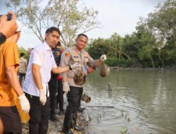 300 BELANGKAS DILEPAS, 2 PELAKU PERDAGANGAN ILEGAL DITANGKAP